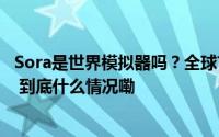 Sora是世界模拟器吗？全球首篇综述全面解析通用世界模型 到底什么情况嘞