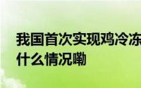 我国首次实现鸡冷冻卵巢组织活体复原 到底什么情况嘞