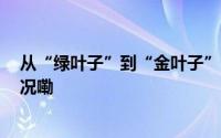 从“绿叶子”到“金叶子” 撑起四川千亿产业 到底什么情况嘞