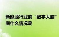 新能源行业的“数字大脑” 探访新型能源数字经济平台 到底什么情况嘞