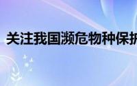 关注我国濒危物种保护工作 到底什么情况嘞