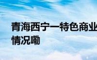 青海西宁一特色商业街区扩容上新 到底什么情况嘞