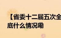 【省委十二届五次全会新闻发布会】四川 到底什么情况嘞