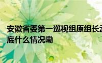 安徽省委第一巡视组原组长孟庆银被查！曾任市纪委书记 到底什么情况嘞