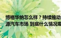 博格华纳怎么样？持续推动S-Winding工艺研发 助力新能源汽车市场 到底什么情况嘞