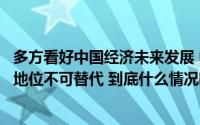 多方看好中国经济未来发展 中国供应链在全球“链通”作用地位不可替代 到底什么情况嘞