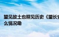 望见故土也照见历史《望长安》关照流散海外的国宝 到底什么情况嘞