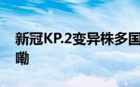 新冠KP.2变异株多国传播专家 到底什么情况嘞