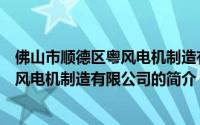 佛山市顺德区粤风电机制造有限公司（关于佛山市顺德区粤风电机制造有限公司的简介）