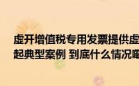 虚开增值税专用发票提供虚假证明文件……青岛公安公布7起典型案例 到底什么情况嘞