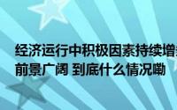 经济运行中积极因素持续增多 中国高质量发展“根深叶茂”前景广阔 到底什么情况嘞