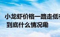 小龙虾价格一路走低有农户卖了两月还没回本 到底什么情况嘞