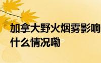 加拿大野火烟雾影响美国多地 美国网友 到底什么情况嘞