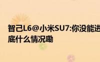 智己L6@小米SU7:你没能进入的20万区间我帮你实现了 到底什么情况嘞