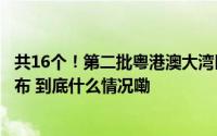 共16个！第二批粤港澳大湾区规则衔接机制对接典型案例公布 到底什么情况嘞