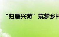 “归雁兴菏”筑梦乡村振兴 到底什么情况嘞