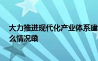 大力推进现代化产业体系建设 加快发展新质生产力 到底什么情况嘞