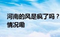 河南的风是疯了吗？！原因找到了 到底什么情况嘞