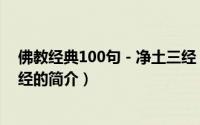 佛教经典100句－净土三经（关于佛教经典100句－净土三经的简介）