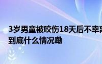 3岁男童被咬伤18天后不幸离世！一旦发病死亡率近100% 到底什么情况嘞