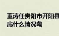 董涛任贵阳市开阳县委常委、政法委书记 到底什么情况嘞