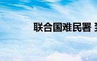 联合国难民署 到底什么情况嘞