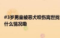 #3岁男童被恶犬咬伤离世找不到狗主人#男童母亲发声 到底什么情况嘞