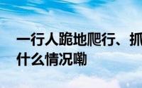 一行人跪地爬行、抓扯交警依法严惩！ 到底什么情况嘞