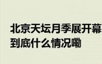 北京天坛月季展开幕 万余棵月季古坛绽芬芳 到底什么情况嘞