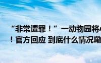 “非常遭罪！”一动物园将小老虎嘴和四肢包住与游客合影！官方回应 到底什么情况嘞