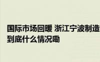 国际市场回暖 浙江宁波制造集装箱出口额同比增长870.3% 到底什么情况嘞