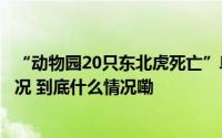 “动物园20只东北虎死亡”阜阳林业部门通报涉事动物园情况 到底什么情况嘞