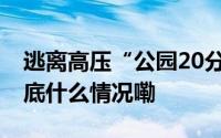 逃离高压“公园20分钟效应”成职场新宠 到底什么情况嘞