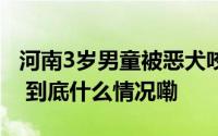 河南3岁男童被恶犬咬伤18天后离世男童母亲 到底什么情况嘞