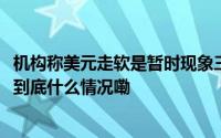 机构称美元走软是暂时现象三个月内欧元兑美元下看1.04！ 到底什么情况嘞