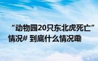 “动物园20只东北虎死亡”#阜阳林业部门通报涉事动物园情况# 到底什么情况嘞