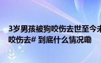 3岁男孩被狗咬伤去世至今未找到狗主#律师谈3岁男孩被狗咬伤去# 到底什么情况嘞