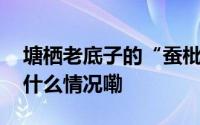 塘栖老底子的“蚕枇蛋”你想尝尝吗？ 到底什么情况嘞