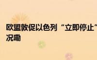 欧盟敦促以色列“立即停止”在拉法的军事行动 到底什么情况嘞