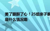 美了眼醉了心！25组亲子家庭参加了这场诗意乡村骑行 到底什么情况嘞