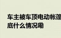 车主被车顶电动帐篷卡脖身亡！多方回应 到底什么情况嘞