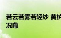 若云若雾若轻纱 黄栌春貌更堪夸 到底什么情况嘞