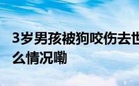 3岁男孩被狗咬伤去世至今未找到狗主 到底什么情况嘞