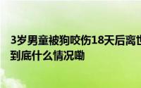 3岁男童被狗咬伤18天后离世狗仍去向不明？当地回应橙柿 到底什么情况嘞