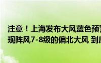 注意！上海发布大风蓝色预警预计今天上半夜以前全市将出现阵风7-8级的偏北大风 到底什么情况嘞