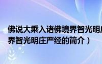 佛说大乘入诸佛境界智光明庄严经（关于佛说大乘入诸佛境界智光明庄严经的简介）