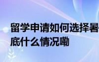 留学申请如何选择暑校项目？ 留学服务站 到底什么情况嘞