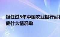 担任过5年中国农业银行副行长的楼文龙被查已离任7年 到底什么情况嘞