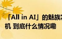 「All in AI」的魅族发布了一台标准的中端手机 到底什么情况嘞