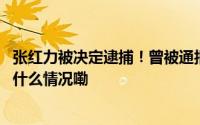 张红力被决定逮捕！曾被通报官迷心窍、骗取博士学位 到底什么情况嘞